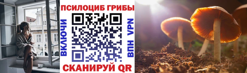 Псилоцибиновые грибы MAGIC MUSHROOMS  Туапсе 